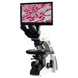 Compound Microscopes