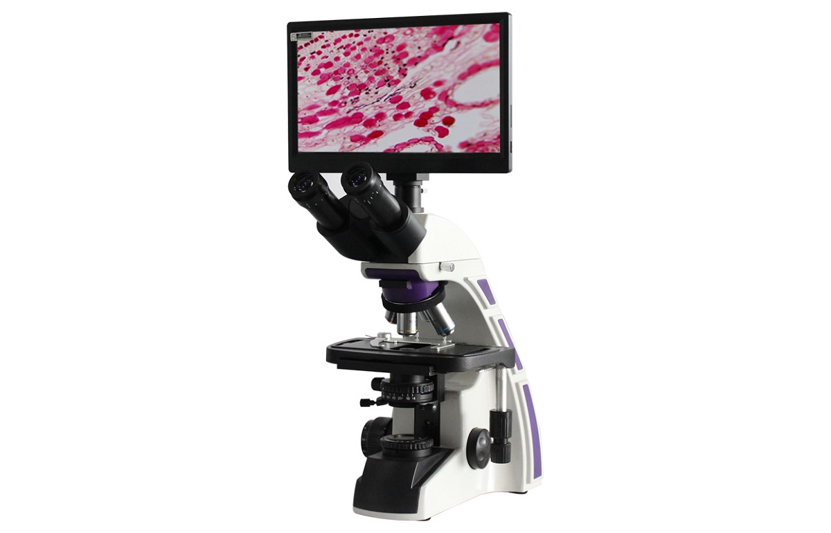 Compound Microscopes_Microscope X