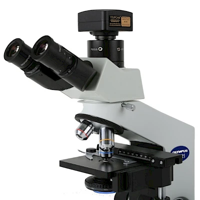 WCAM Series and Microscope