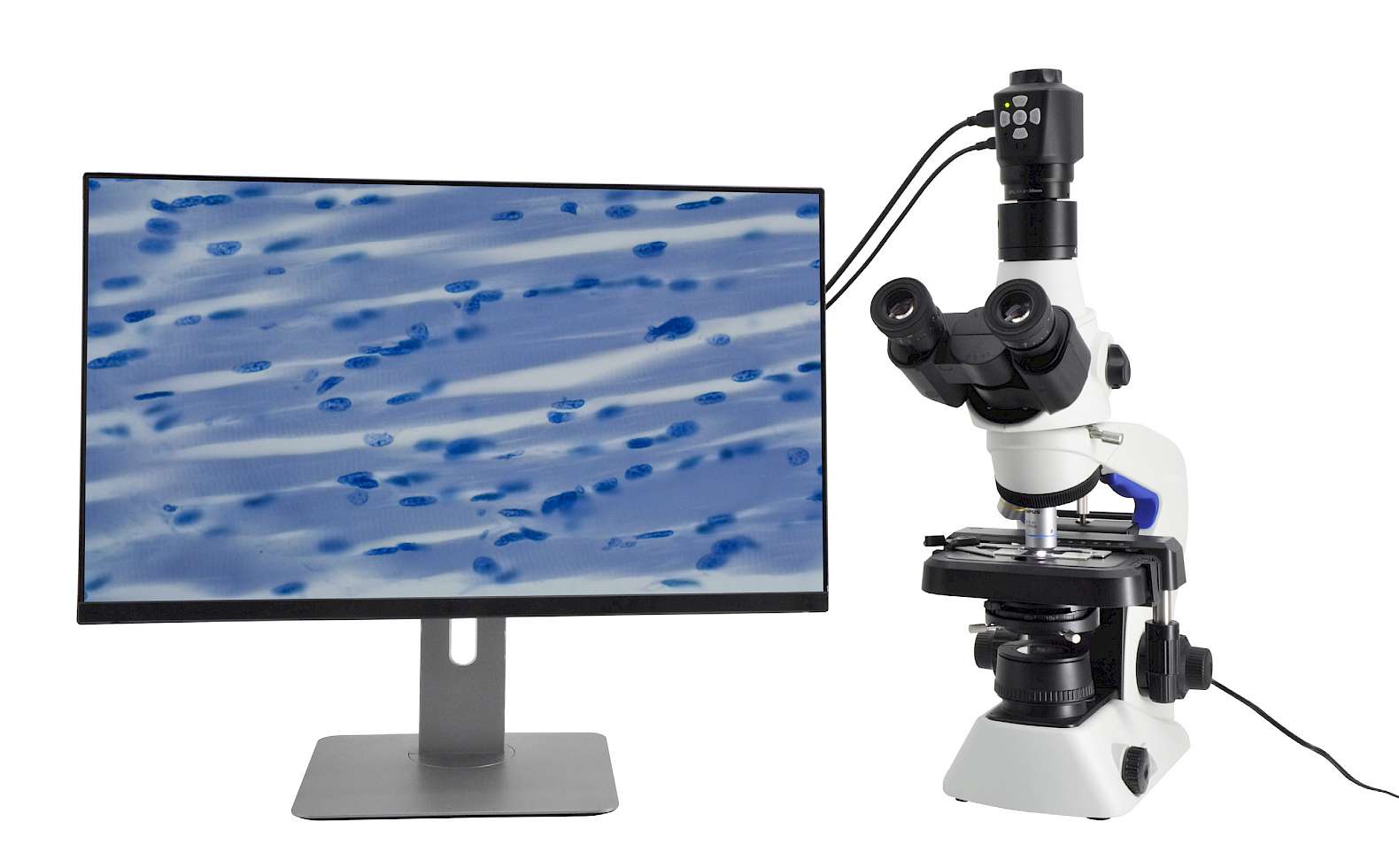 DM350-C and its Microscope