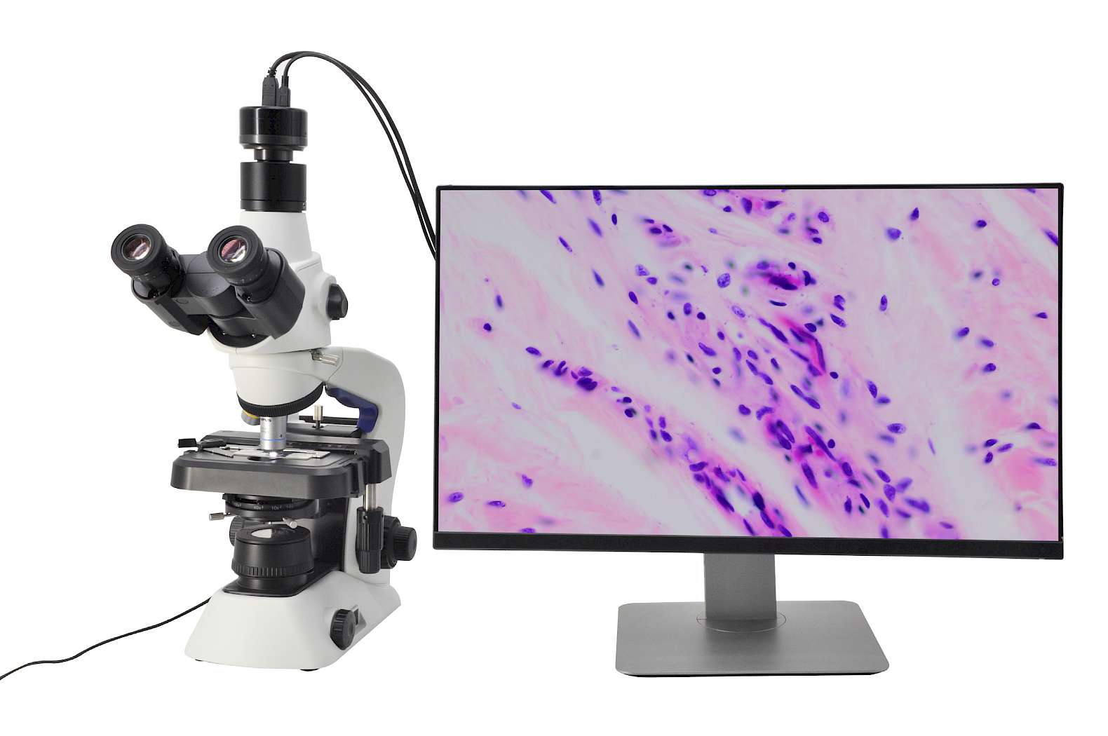 DM210 and its Biological Microscope + Display
