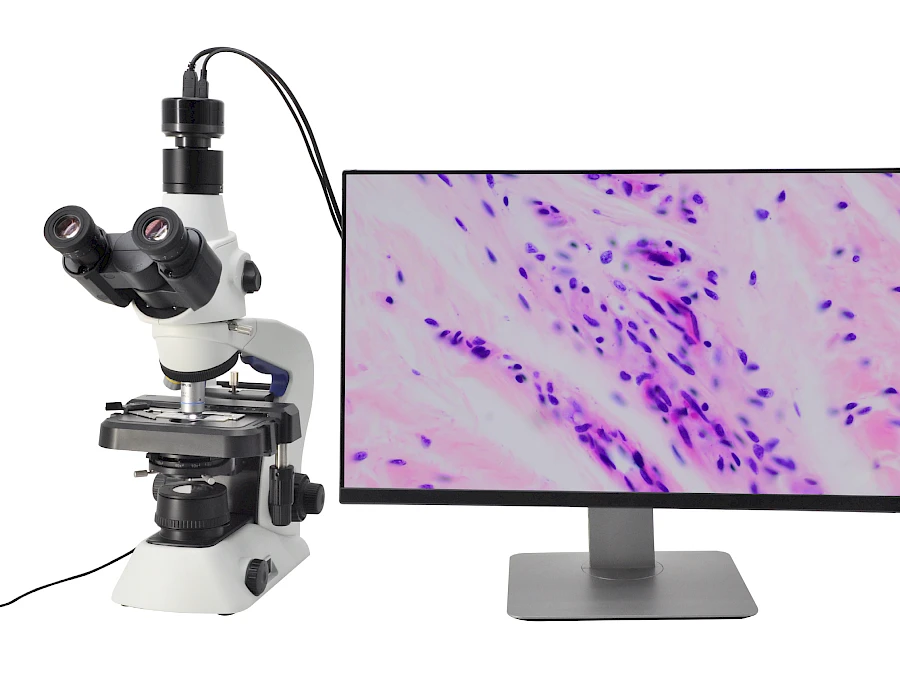 DM210 and its Biological Microscope + Display
