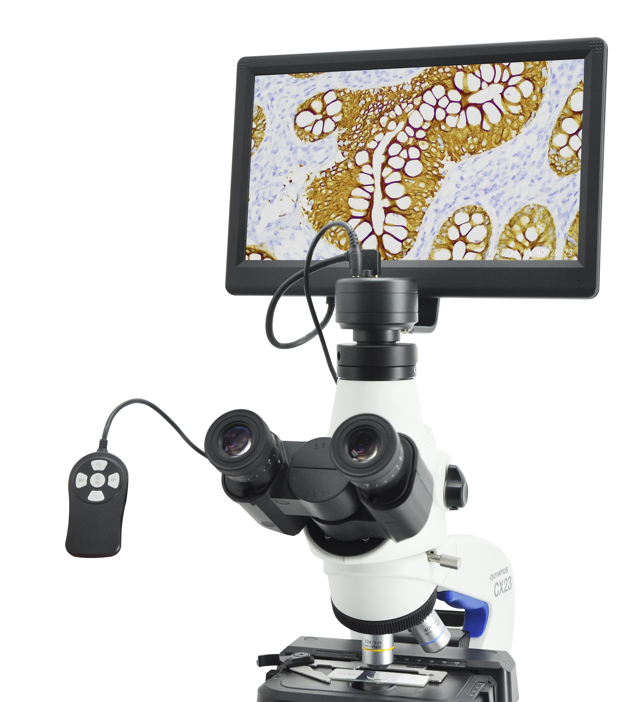 CE210 HDMI Microscope Camera with 12.5Inch 1080P LCD Display_Microscope X