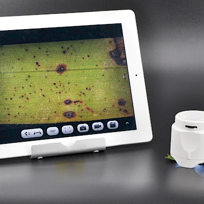 W5 and its Mac