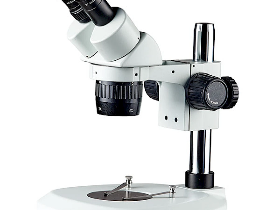 BD6024-PF