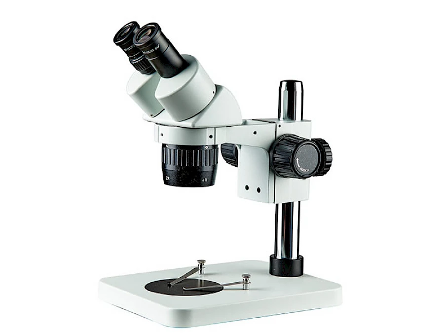 BD6024-PS