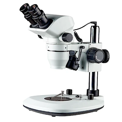 BD7024-PF2L