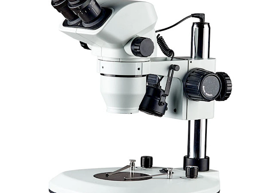 BD7024-PF2L