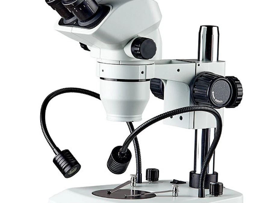 BD7024-PIGL