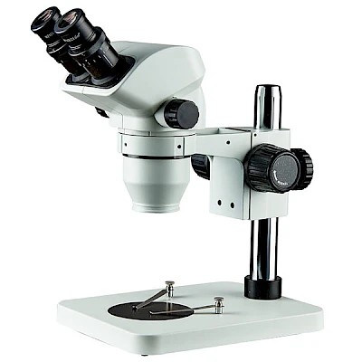 BD7024-PS