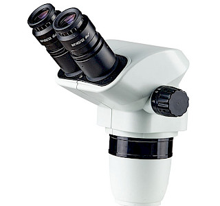 Microscope Head