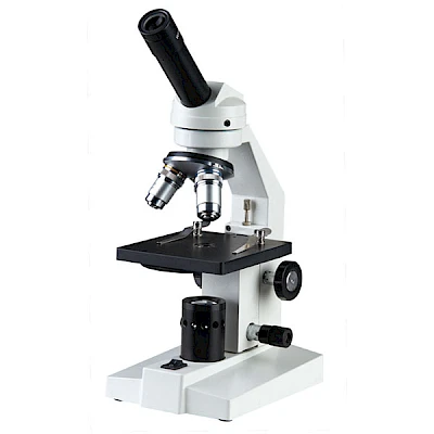 BLD-10