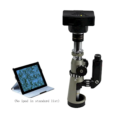 BJ-A and its Pad(hotspot)