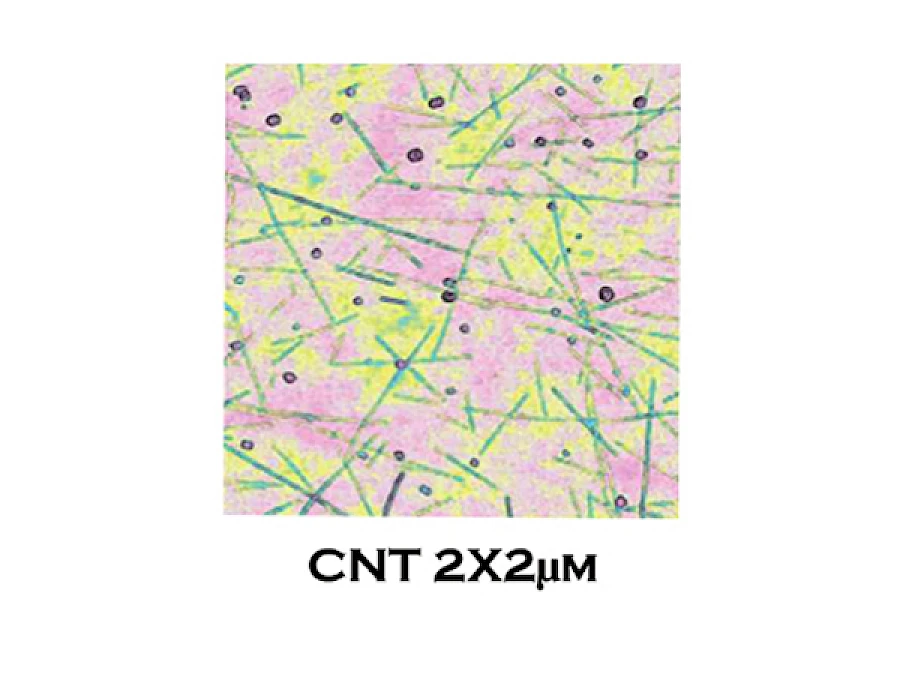 CNT