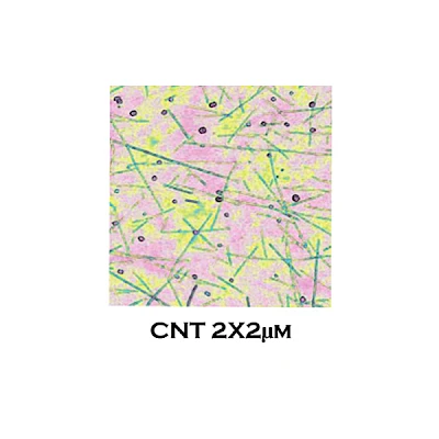 CNT