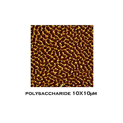 Polysaccharide