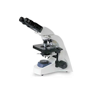 BL-181