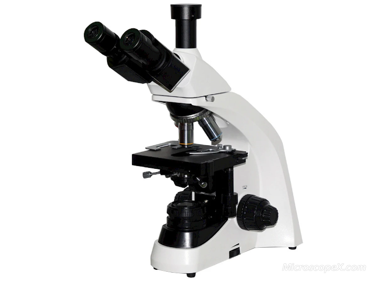 BL-3525T