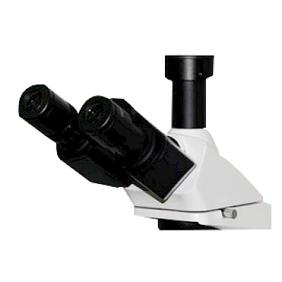 Head of BL-3525T
