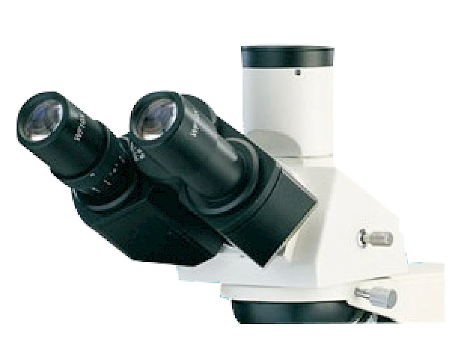 Head of BL-161A &amp; BL-161B