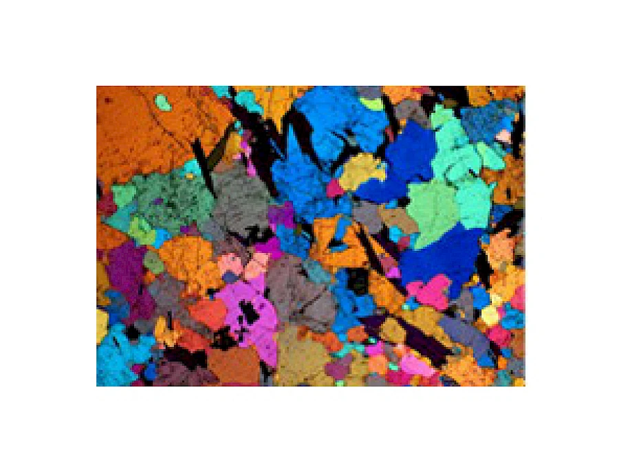Polarized Observe