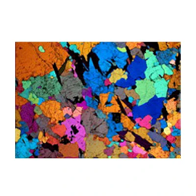 Polarized Observe