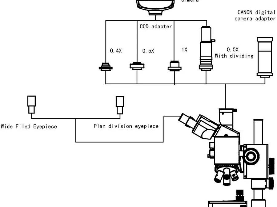 Diagram of VM5000 &amp; VM5000BD