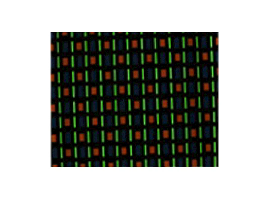 Bright Typr Observe