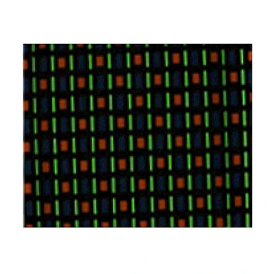 Bright Type Observe