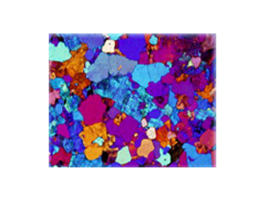 Polarized Type Observe