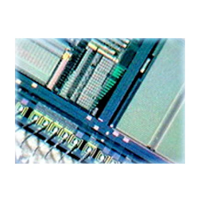 Bright Type Observe