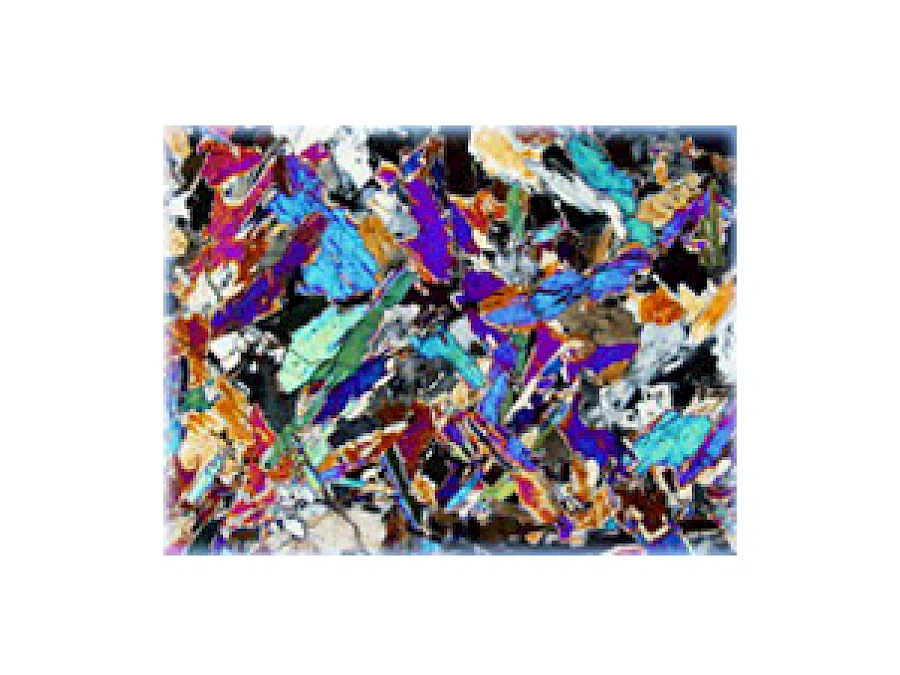 Polarized Observe