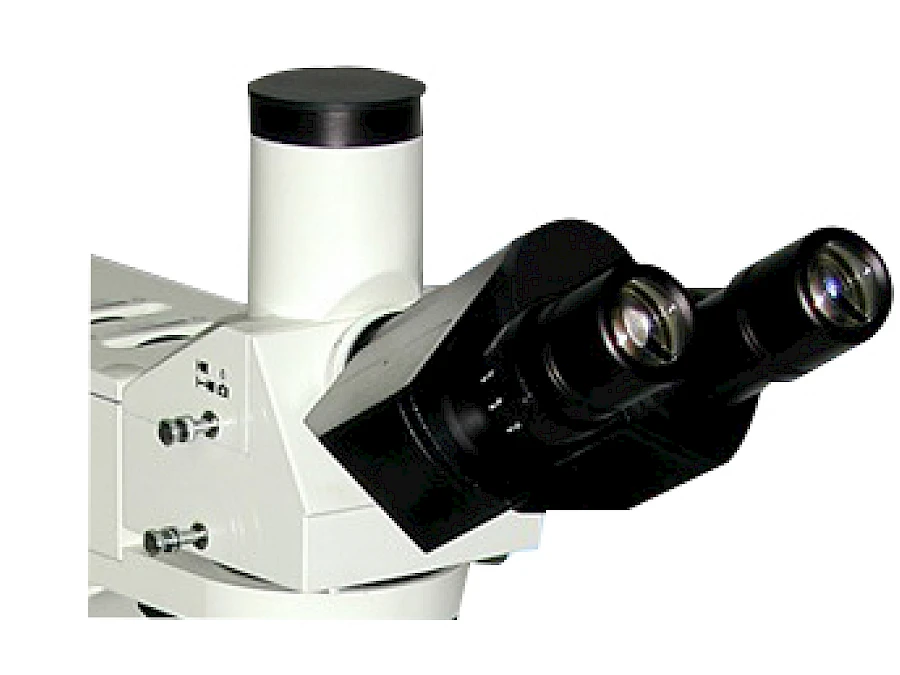Head of VM4550