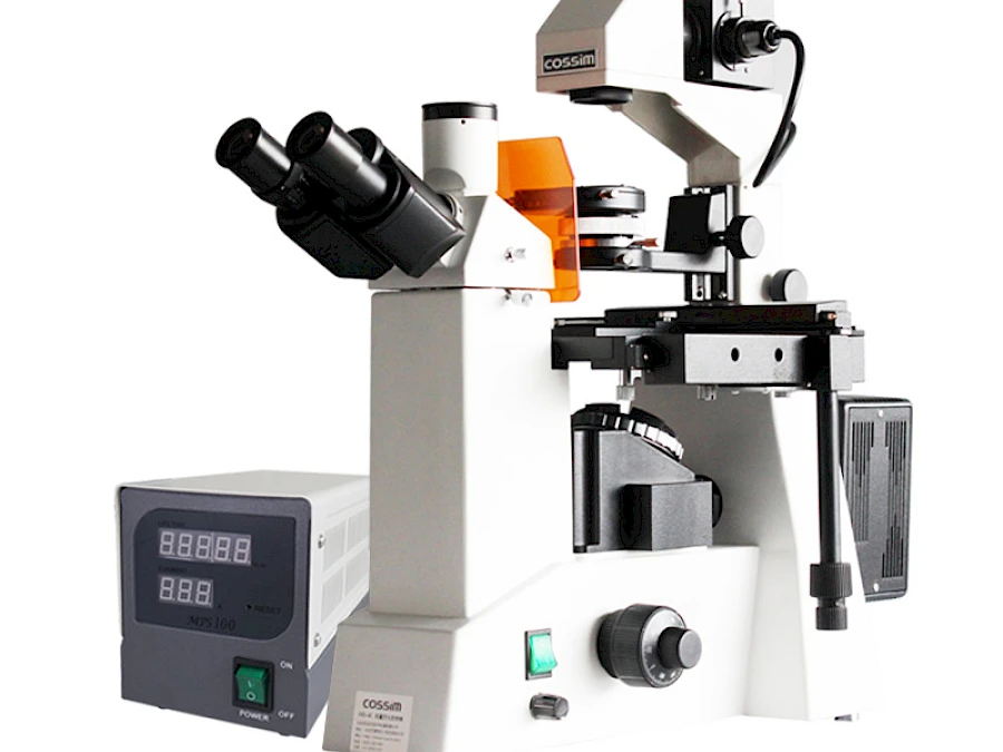 VMF200I Fluorescent Microscope
