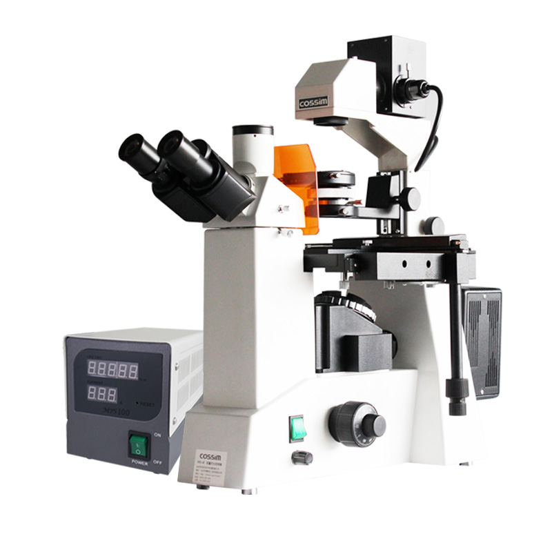 VMF200I Fluorescent Microscope VMF200I Fluorescent Microscope