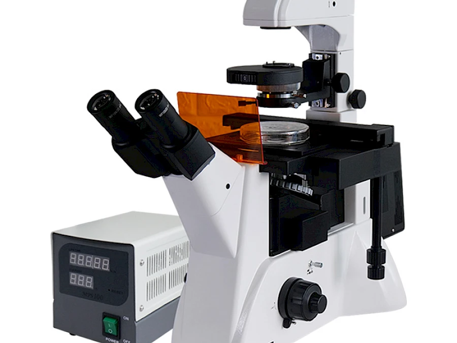 VMF400I Fluorescent Microscope