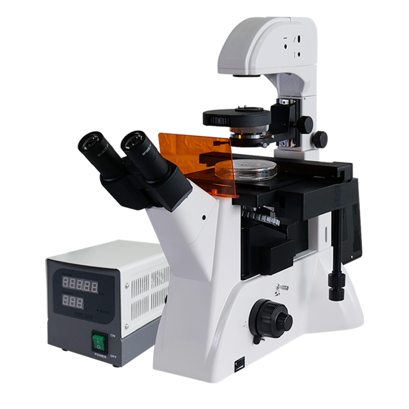 VMF400I Fluorescent Microscope VMF400I Fluorescent Microscope