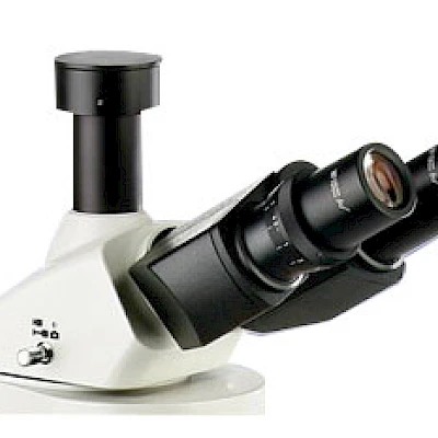 Head of VMF32A