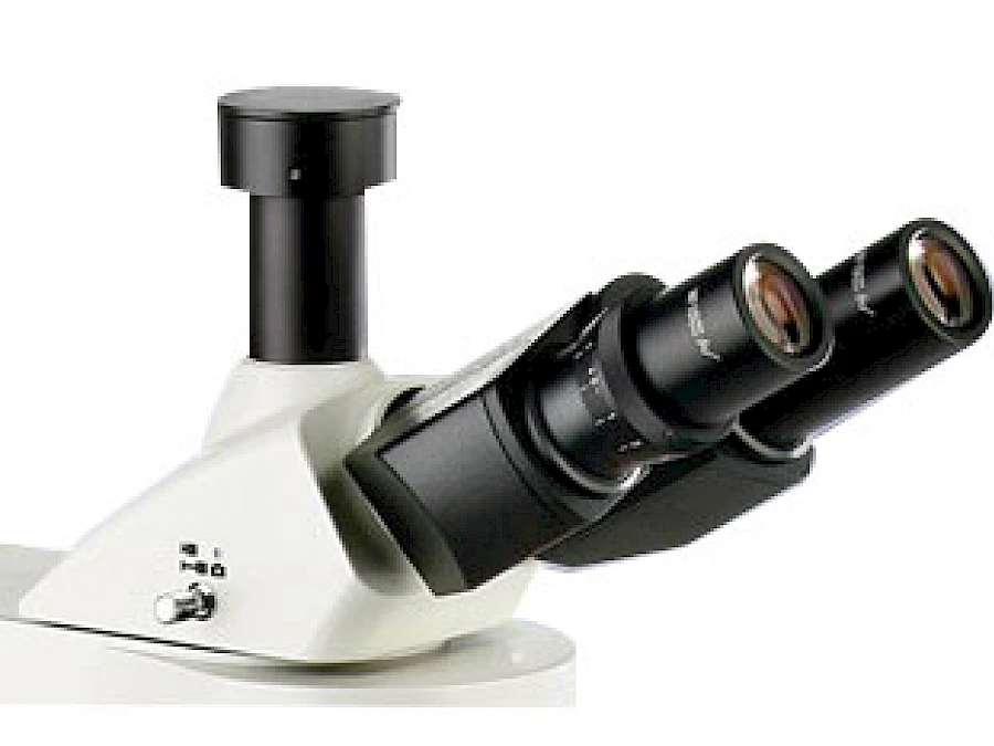 Head of VMF32A