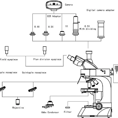 Diagram of VMF32A