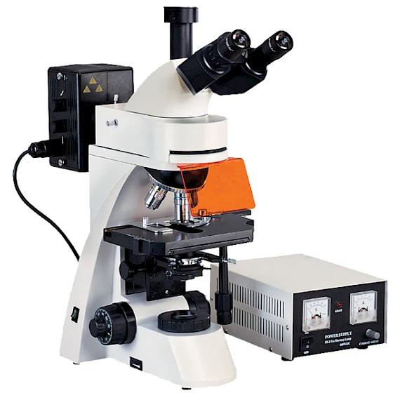VMF30A Biological & Medical Treatment Fluorescent Microscope with Up & Down Light Source