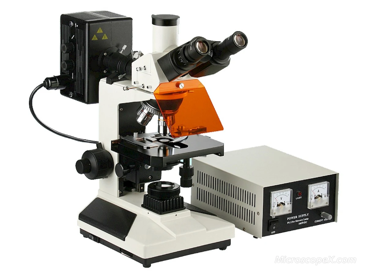 VMF20A