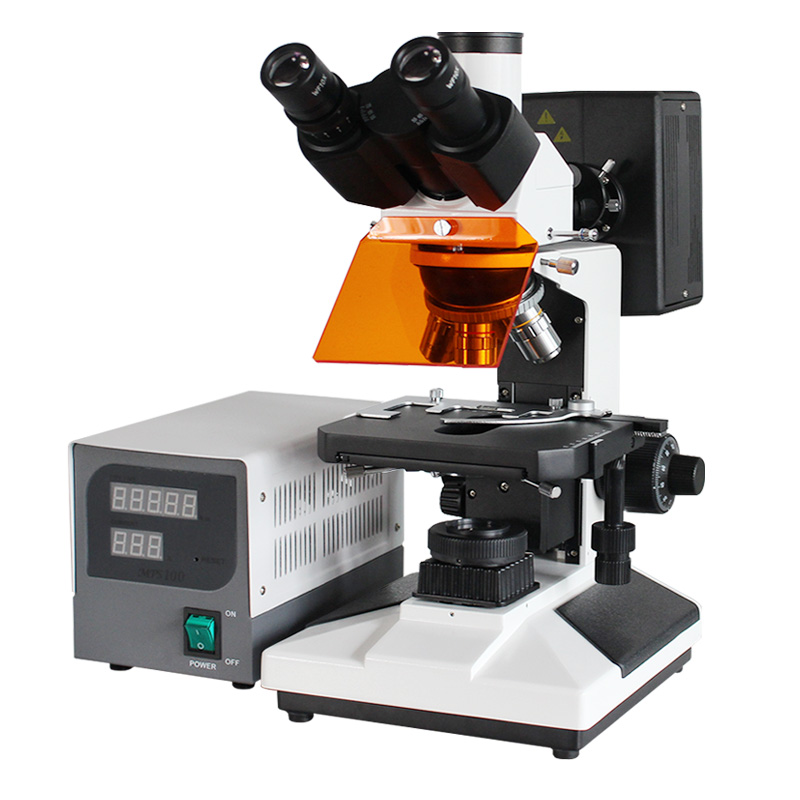 VMF20A Fluorescent Microscope VMF20A Fluorescent Microscope