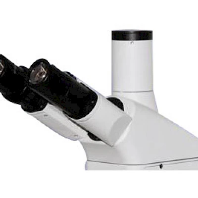 Head of VMF180I