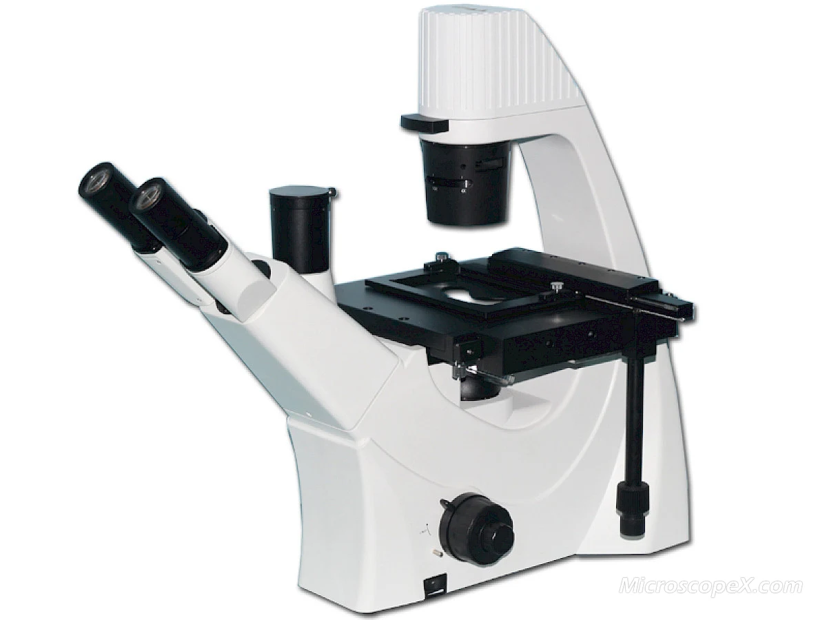 BLD-300