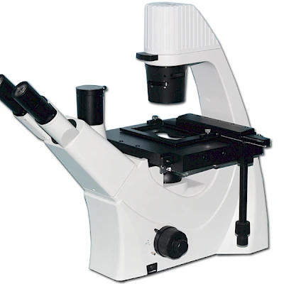 BLD-300