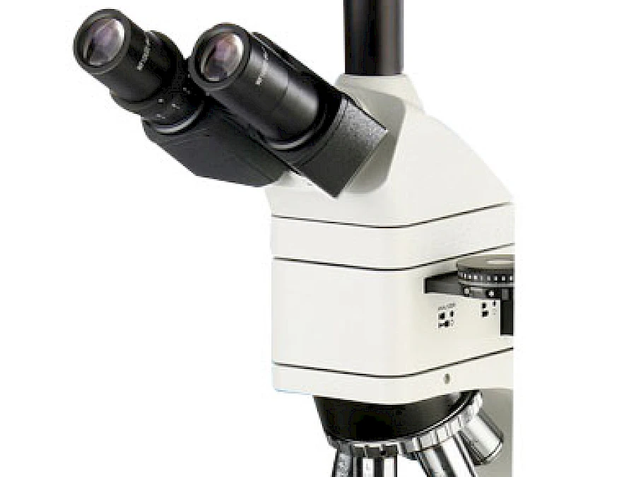 Head of POL1810