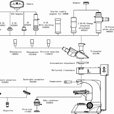 Diagram of POL1810