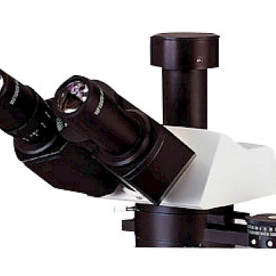 Head of POL1600
