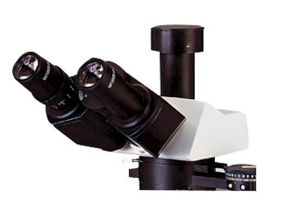 Head of POL1600
